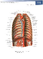 Sobotta  Atlas of Human Anatomy  Trunk, Viscera,Lower Limb Volume2 2006, page 122